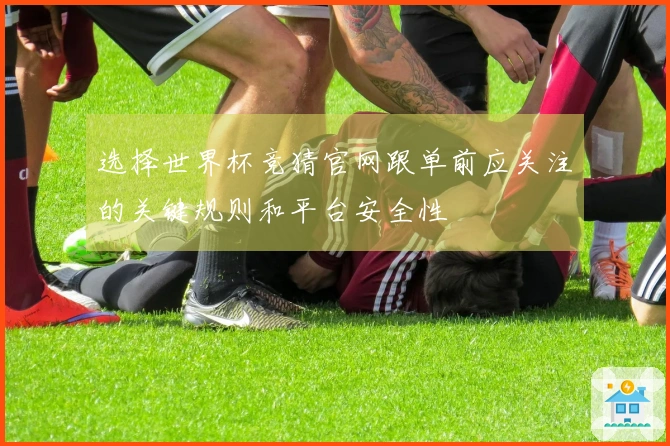 选择世界杯竞猜官网跟单前应关注的关键规则和平台安全性