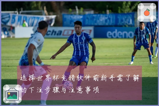 选择世界杯竞猜软件前新手需了解的下注步骤与注意事项