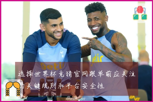 选择世界杯竞猜官网跟单前应关注的关键规则和平台安全性