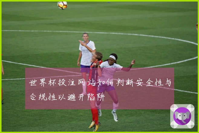 世界杯投注网站如何判断安全性与合规性以避开陷阱