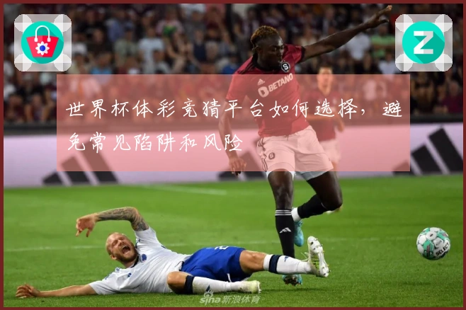 世界杯体彩竞猜平台如何选择，避免常见陷阱和风险