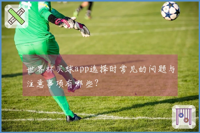 世界杯买球app选择时常见的问题与注意事项有哪些？