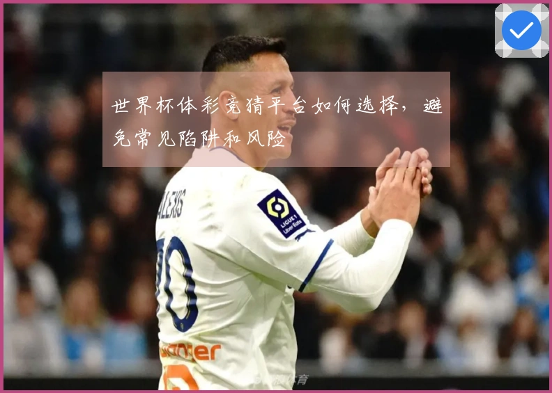 世界杯体彩竞猜平台如何选择，避免常见陷阱和风险