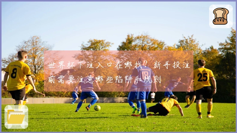 世界杯下注入口在哪找？新手投注前需要注意哪些陷阱和规则